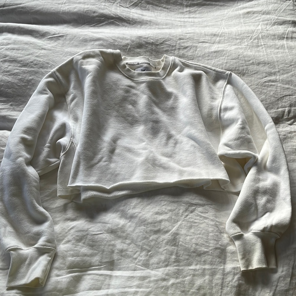 Aritzia cropped sweatshirt